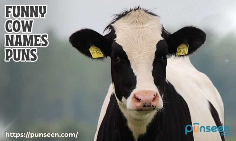 Funny Cow Names Puns You’ll Love